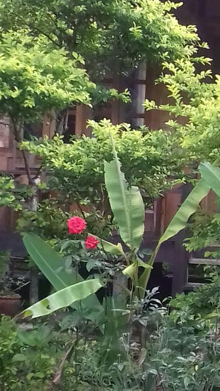 Ning Ning Guesthouse Muang Ngoi Zewnętrze zdjęcie